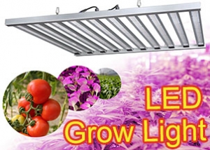 led-grow-light